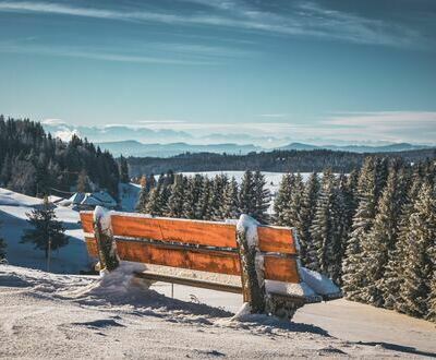 Oberhalb Lochh�user 