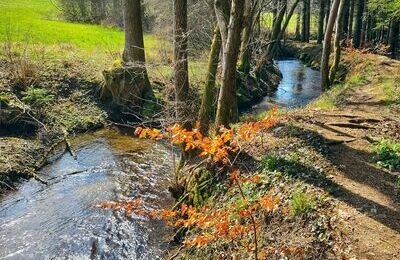 Wuhren Schleife am H&auml;nner Murg bei Hottingen